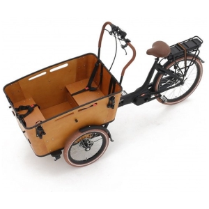 Vogue E-Cargo Carry 3