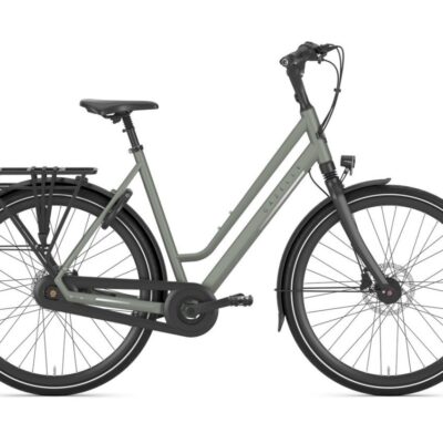 Gazelle Chamonix C8 Dames