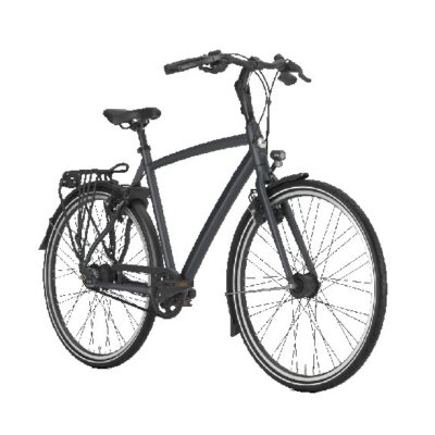 Gazelle Chamonix C8 Heren