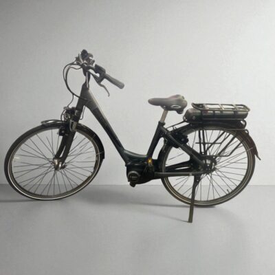 Pegasus Ancura E7F NL Dames