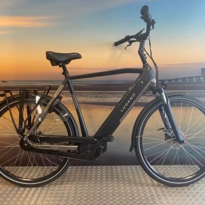 Lugano Elo De Luxe N8 Heren