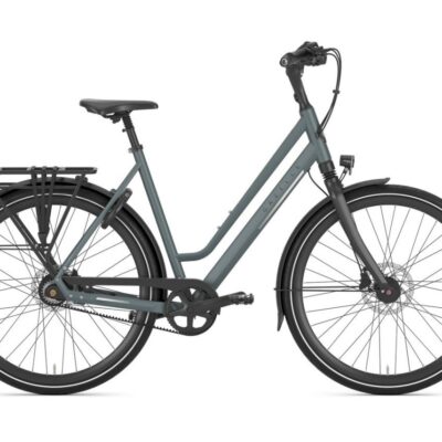 Gazelle Chamonix S8 Dames