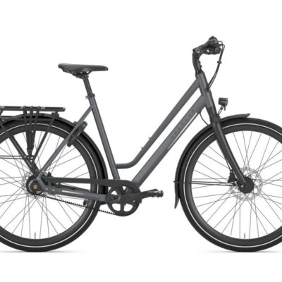 Gazelle Chamonix S11 Dames