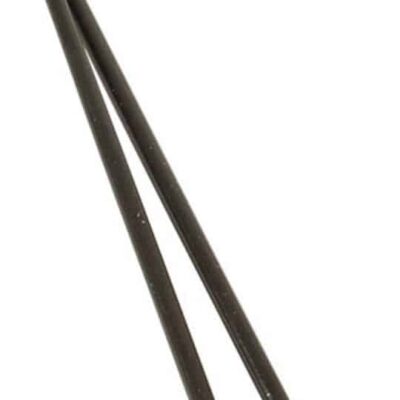 Dt Swiss SPAAK 14X282 DT CHAMPION ZW PER STUK